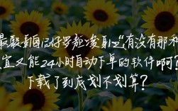 性价比之选，最经济实惠的24小时自助下单软件下载评测