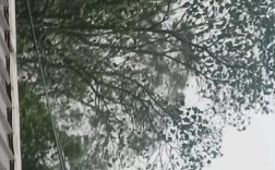 台风桦加沙登陆阳江，台风眼惊现画面