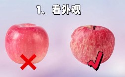 如何挑选优质苹果？
