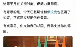 巴伊两国深化能源合作，达成多项协议