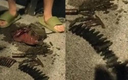 河边垂钓意外收获，钓鱼爱好者钓起30多枚子弹引关注