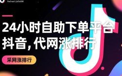 抖音24小时自助下单平台助力代网涨排行新趋势