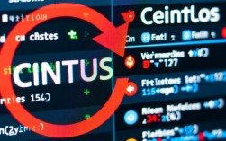 CentOS Setup 联网问题排查指南