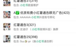 小红书群组变现攻略揭秘