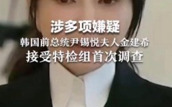 金建希被捕后首次接受调查情况披露