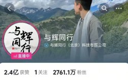 20万粉丝推广一次多少钱,dy抖音免费24小时下单平台便宜