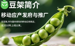 豌豆荚如何实现从种子到成熟市场的华丽蜕变？