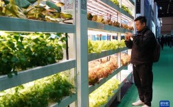 世界农业科技创新大会，共话未来农业发展新篇章