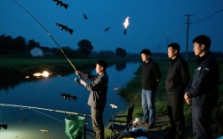 夜钓男子意外成猎物，四名涉事者被警方控制