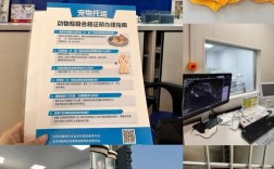 北京动物医院年接诊量突破十万大关