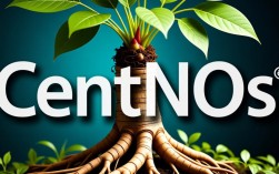 CentOS系统如何设置根目录为只读状态？