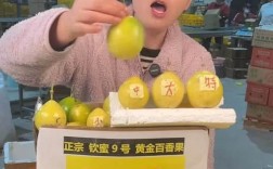 拉面哥华丽转身，带货主播新篇章