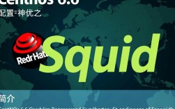 CentOS 6.6安装Squid后，如何解决常见性能瓶颈问题？