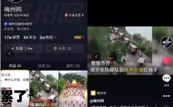 抖音ks点赞量24小时下单平台，低价提升播放量网址揭晓