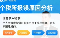 个税申报错误处理与更改指南