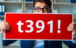 T391报错原因分析