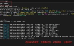 CentOS chroot环境下DNS配置指南