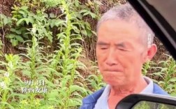 缅怀英烈，老人电视直播正对烈士墓碑观看阅兵式