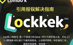 Lombok引用错误排查指南