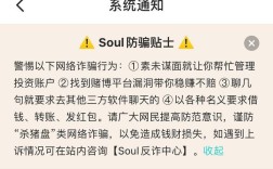 SoulApp为何报错？原因与解决方法详解