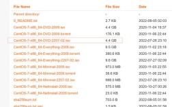 安装阿里云CentOS 6.3系统的详细步骤