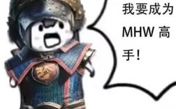 MHW报错了，我该怎么办？