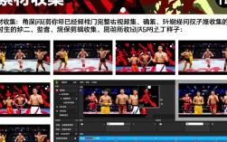 武林风视频剪辑技巧全解析