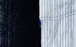 北大荒初雪映照下的黑白画卷