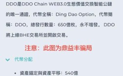 遇到 DDO 报错应该如何解决？