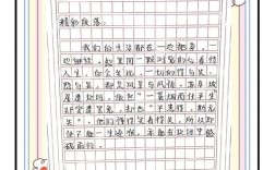 如何高效撰写剪辑视频作文素材？