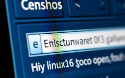 重置CentOS系统管理员密码指南