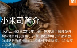 小米产品品质解析