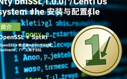 CentOS系统上如何升级openssl 1.0.0版本遇到问题？