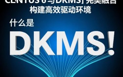 CentOS 6 系统下DKMS安装使用过程中遇到了哪些常见问题？