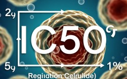 计算IC50时需注意哪些关键因素与步骤？