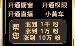 抖音死粉购买风险解析