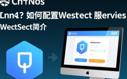 CentOS环境下如何正确配置和使用WebSocket服务？