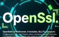 openssl 编译内核错误排查指南