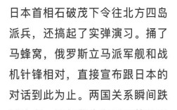 阅兵式‘错字’事件真相揭秘