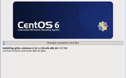 如何在CentOS 6.5虚拟机上进行安装？