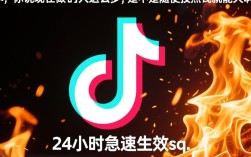 抖音24小时下单服务性价比深度解析