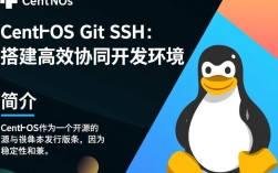 CentOS下Git使用SSH配置遇到问题，究竟该如何解决？