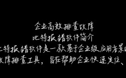 比特报错软件检测与优化指南