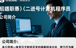 二进制计算机程序员招聘，有哪些独特技能要求？