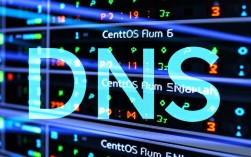 在 CentOS 6 系统中配置 DNS 的步骤指南