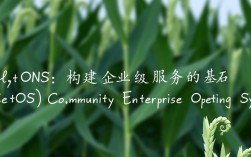 CentOS在服务器领域具体扮演什么角色，其作用有哪些？
