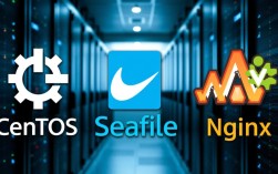 CentOS Seafile+Nginx配置中，如何优化性能与安全性？