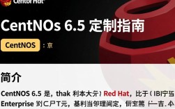 Centos 6.5 定制中，有哪些关键步骤和技巧需要特别注意？