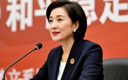 郑丽文就两岸关系强势发声回应外媒关切