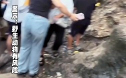 贵州景区猴子伤人事件，女游客不幸骨折